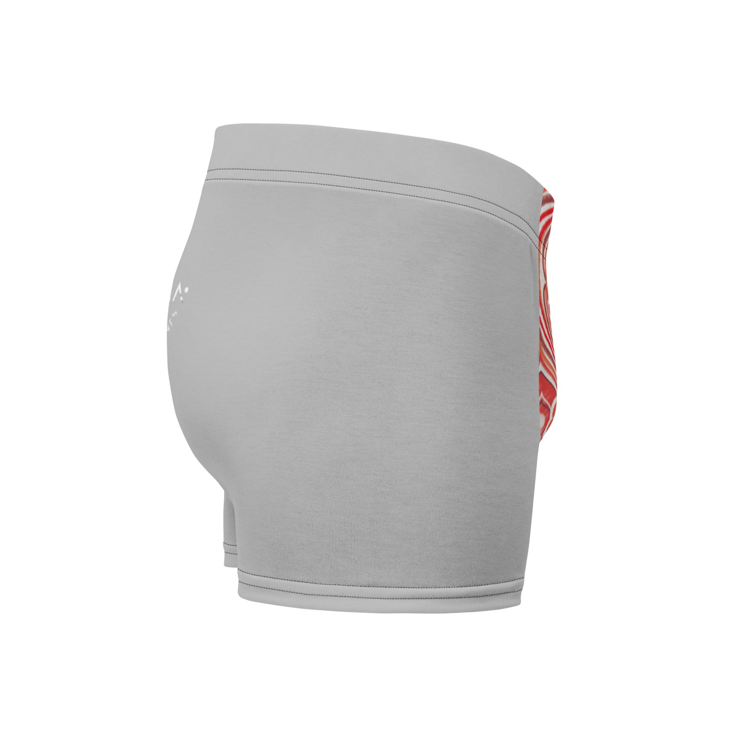 Boxer Briefs