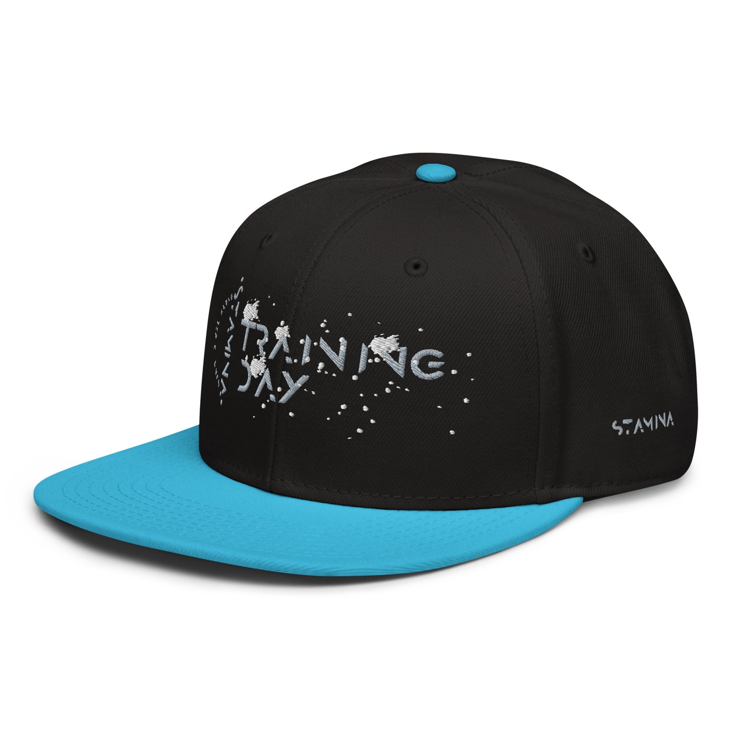 Training Day Snapback Hat