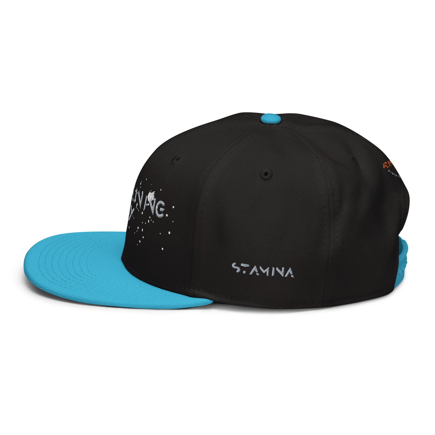 Training Day Snapback Hat