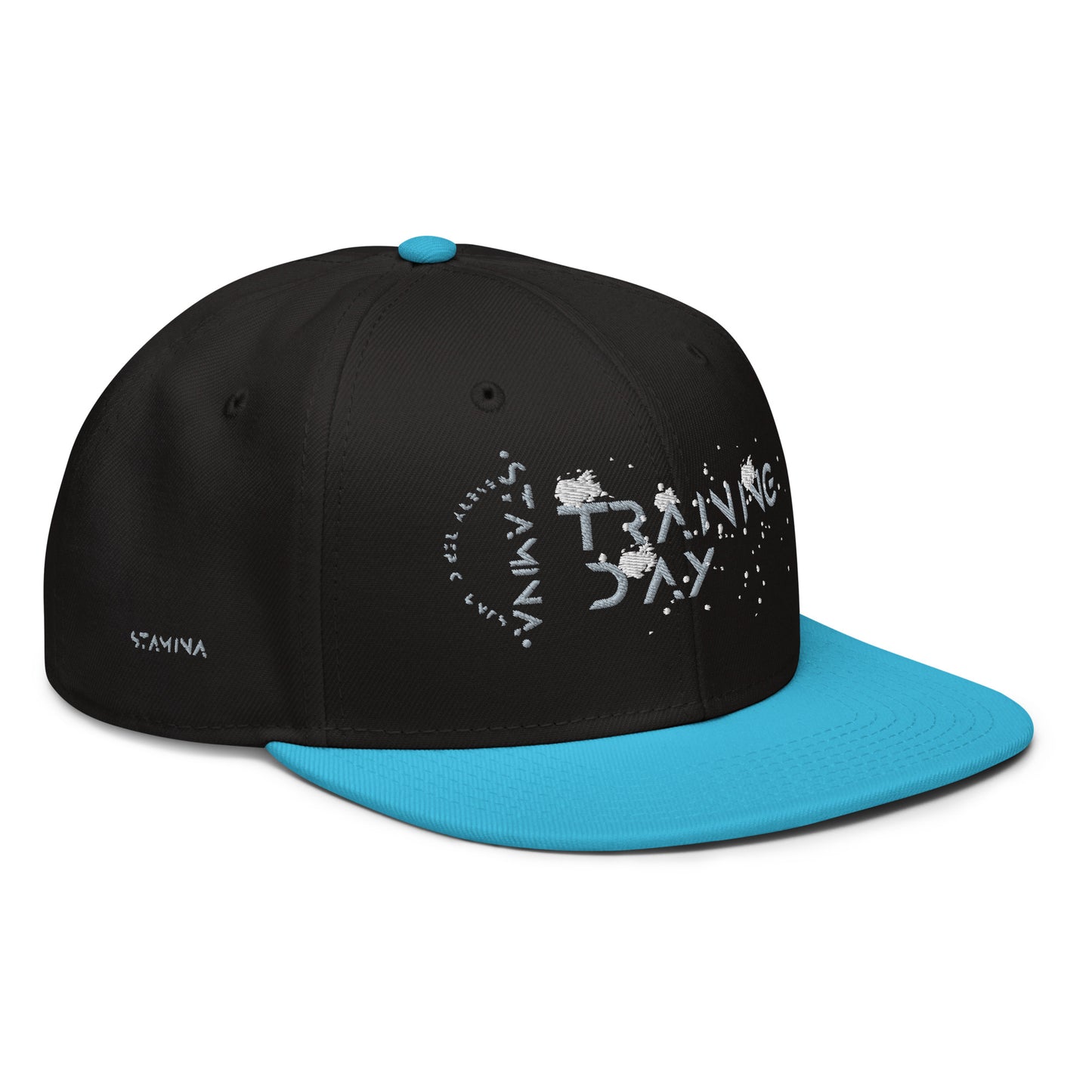 Training Day Snapback Hat