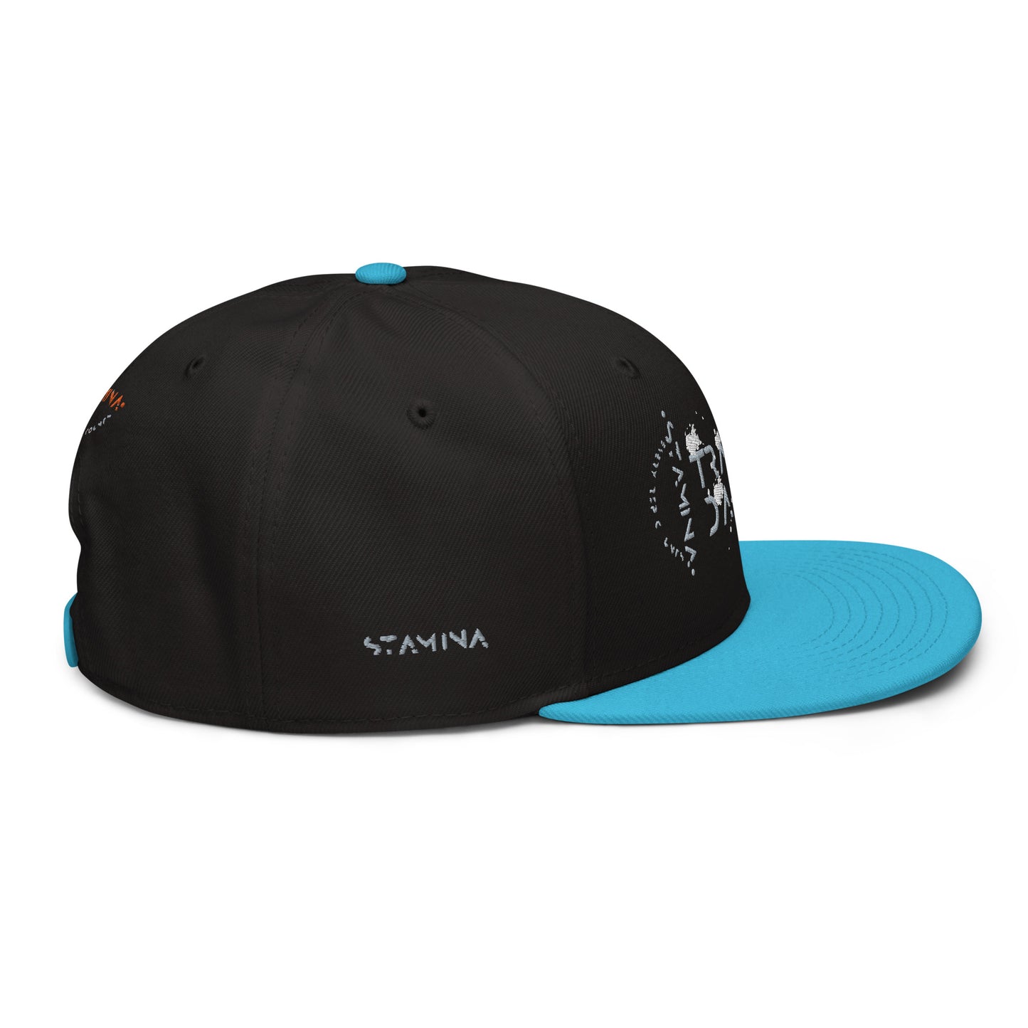 Training Day Snapback Hat
