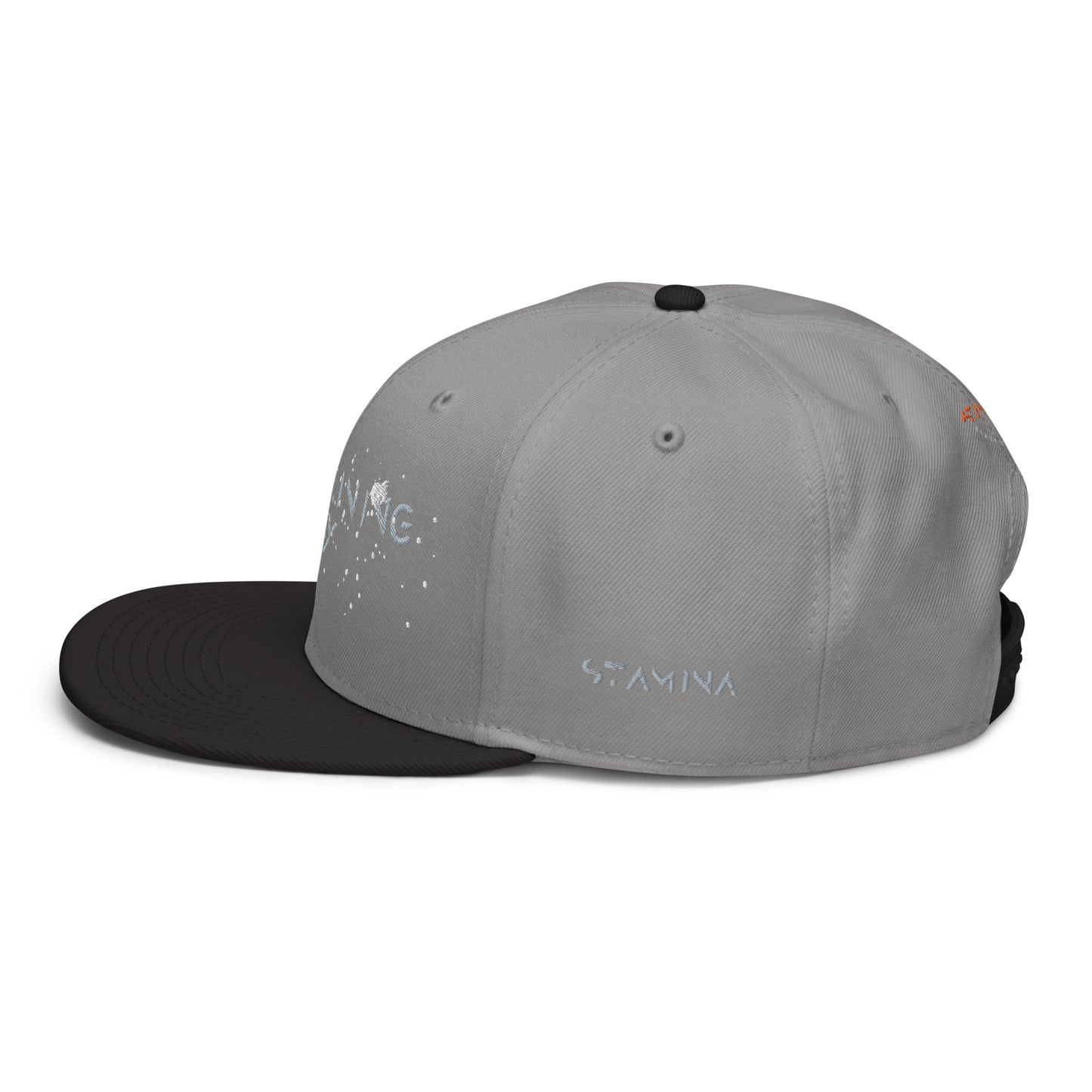 Training Day Snapback Hat