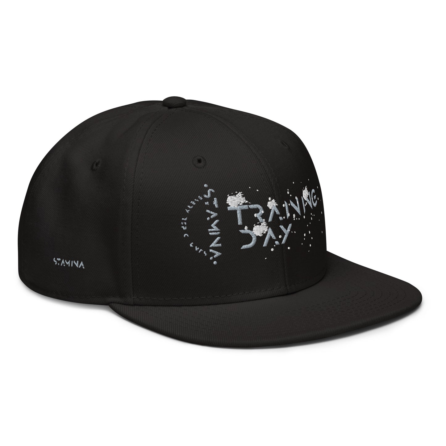 Training Day Snapback Hat