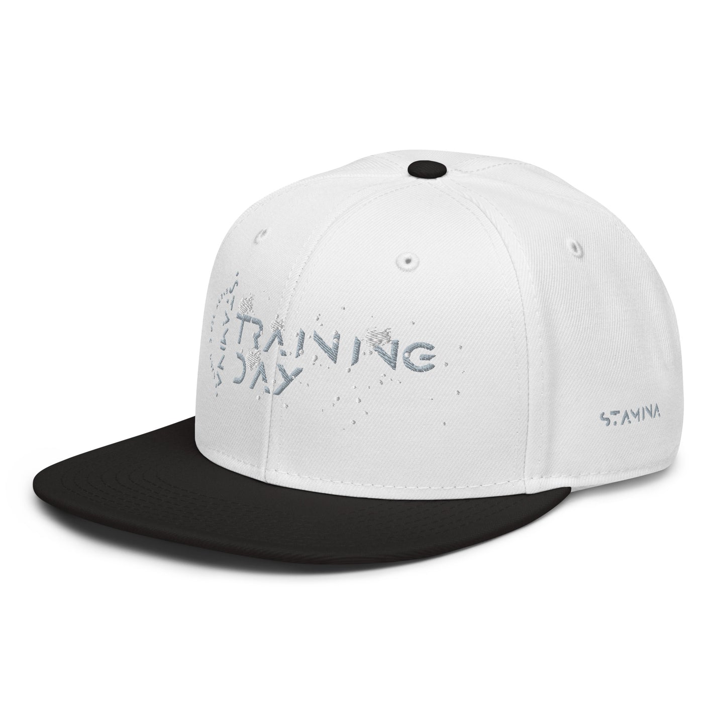 Training Day Snapback Hat