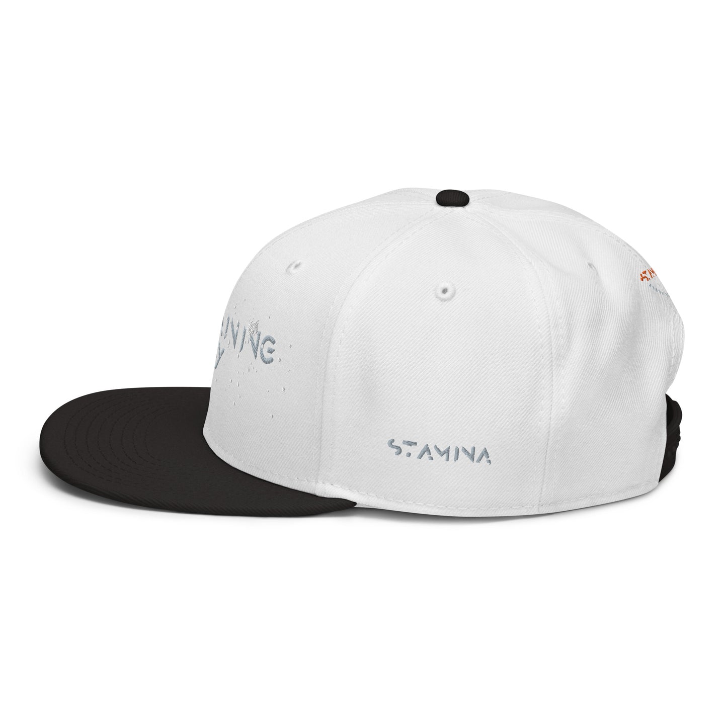 Training Day Snapback Hat