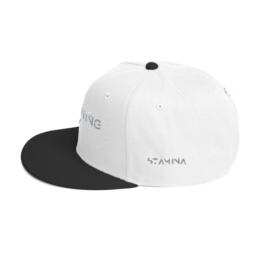 Training Day Snapback Hat