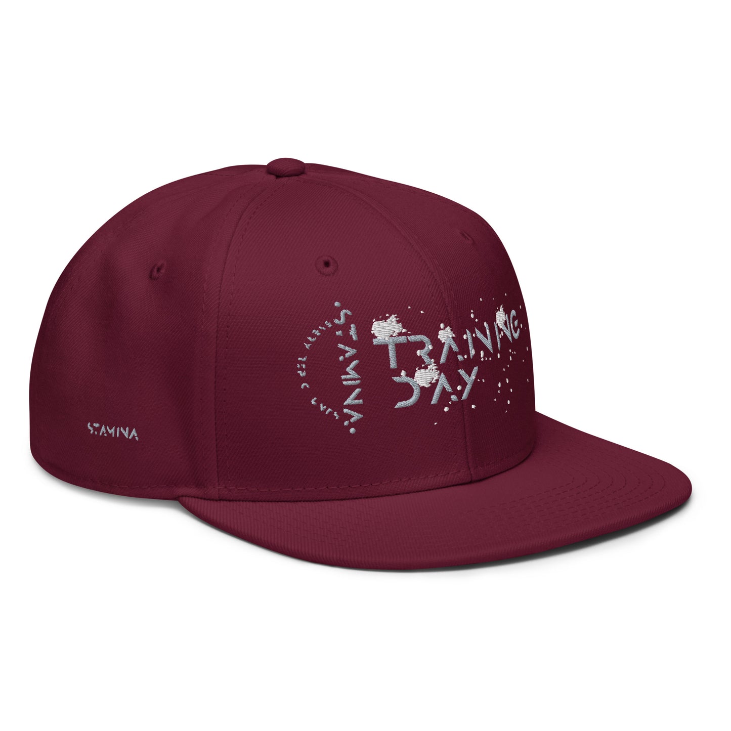 Training Day Snapback Hat