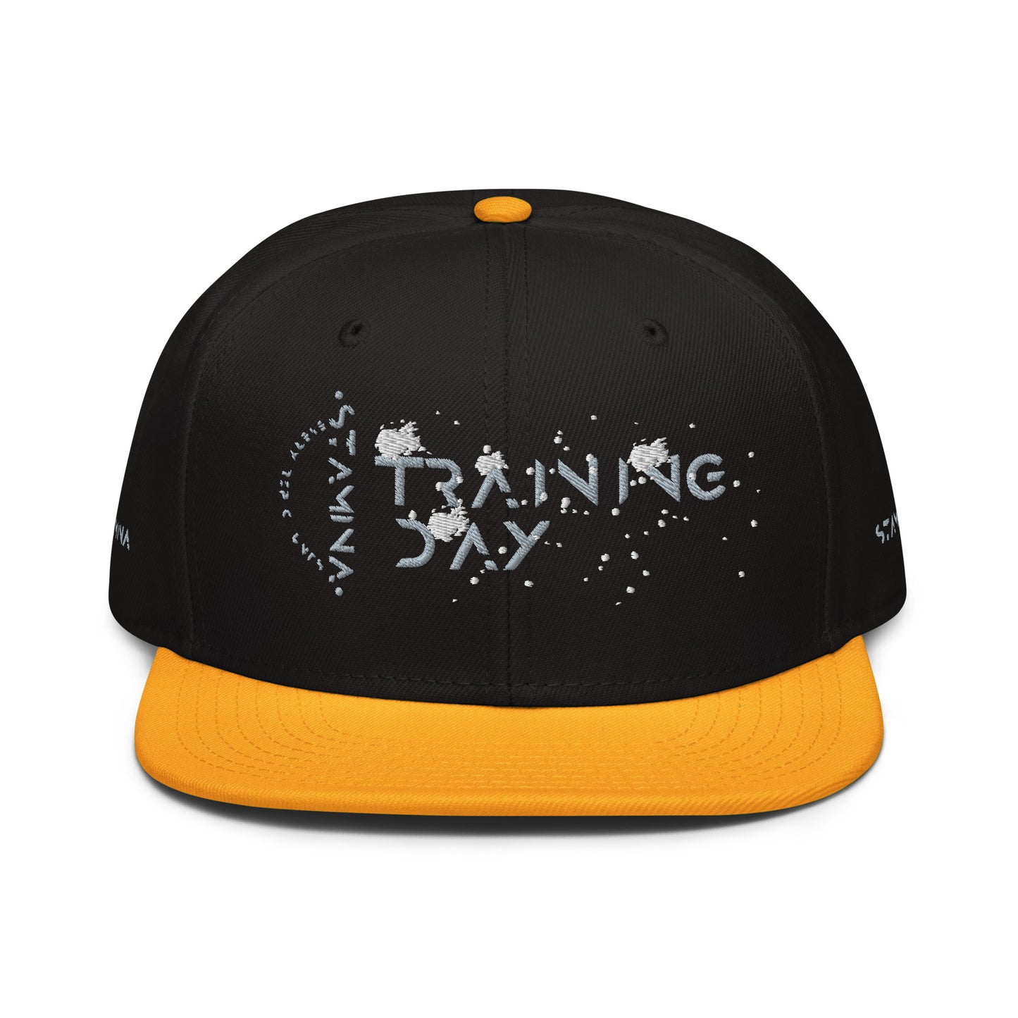 Training Day Snapback Hat