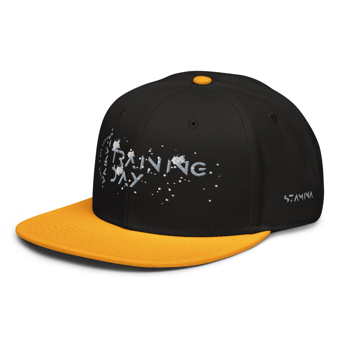 Training Day Snapback Hat