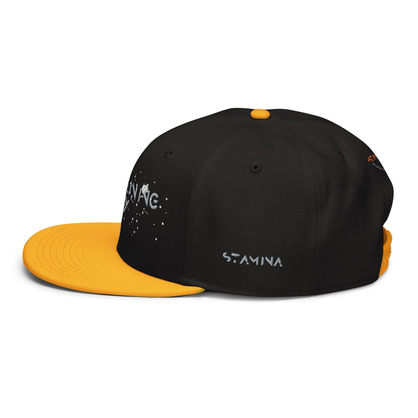 Training Day Snapback Hat
