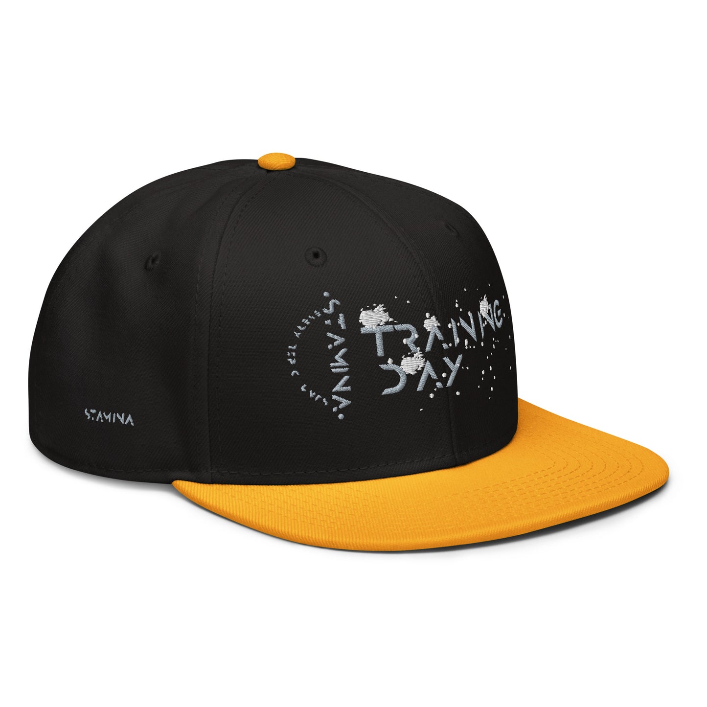 Training Day Snapback Hat