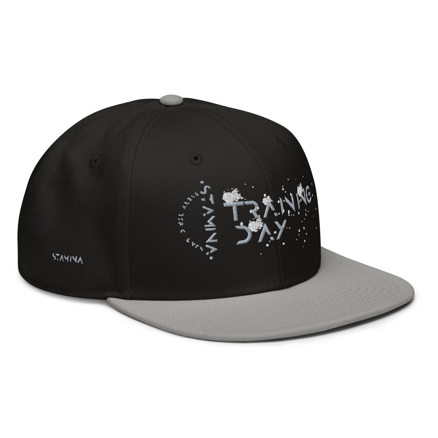 Training Day Snapback Hat