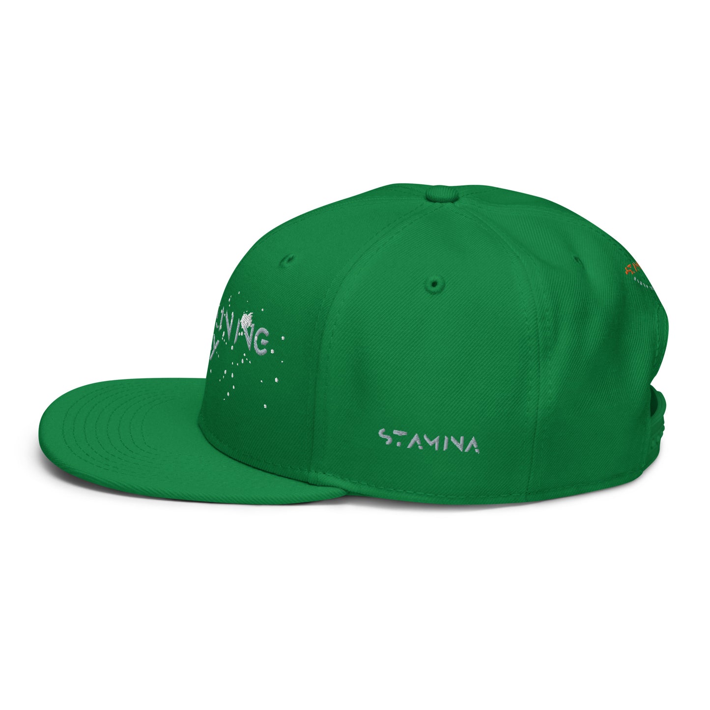 Training Day Snapback Hat