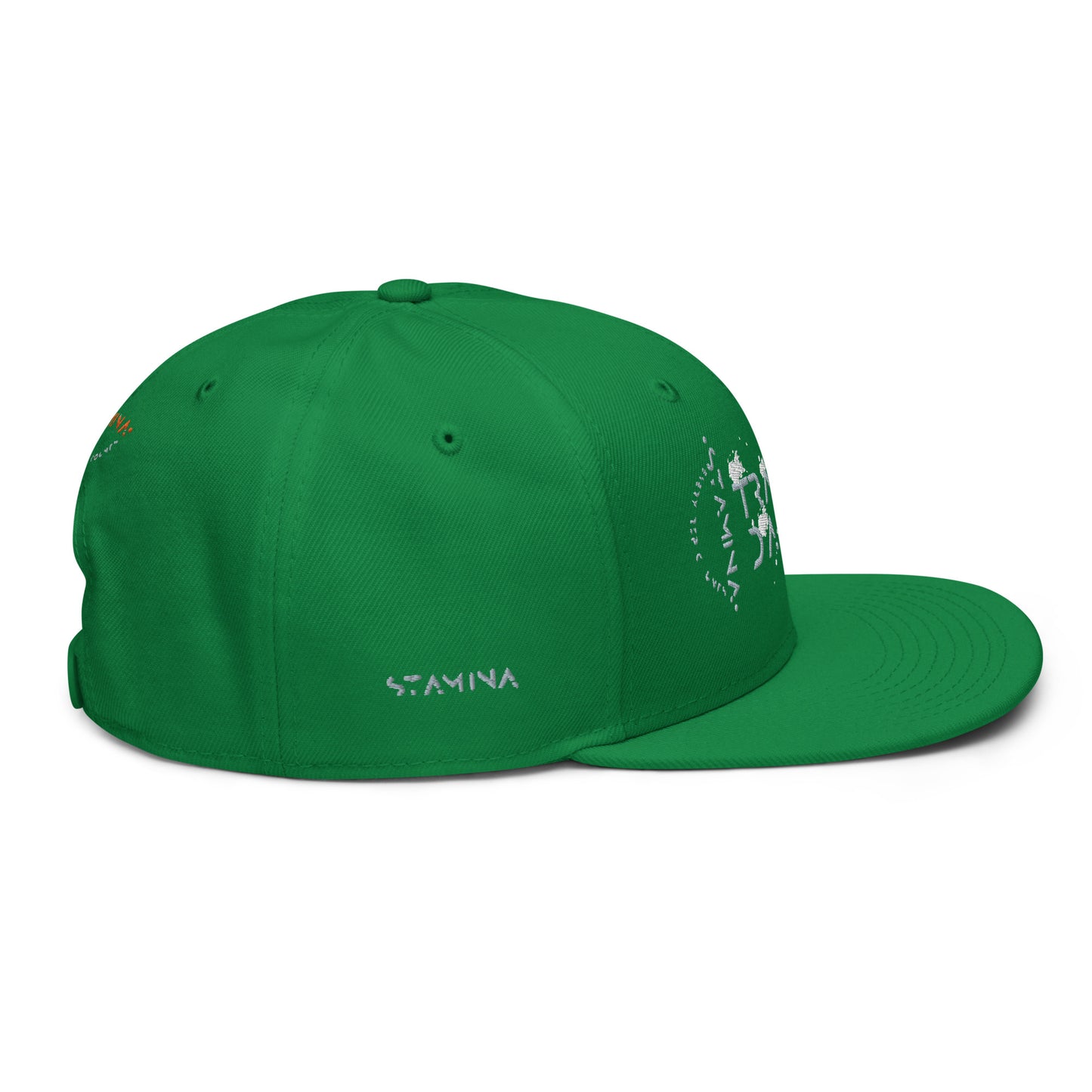 Training Day Snapback Hat