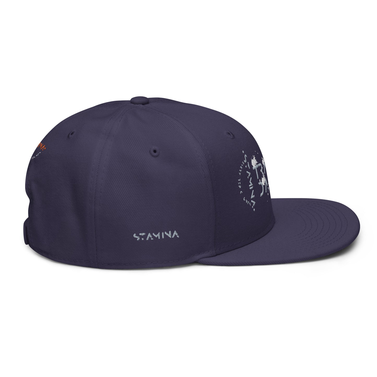 Training Day Snapback Hat