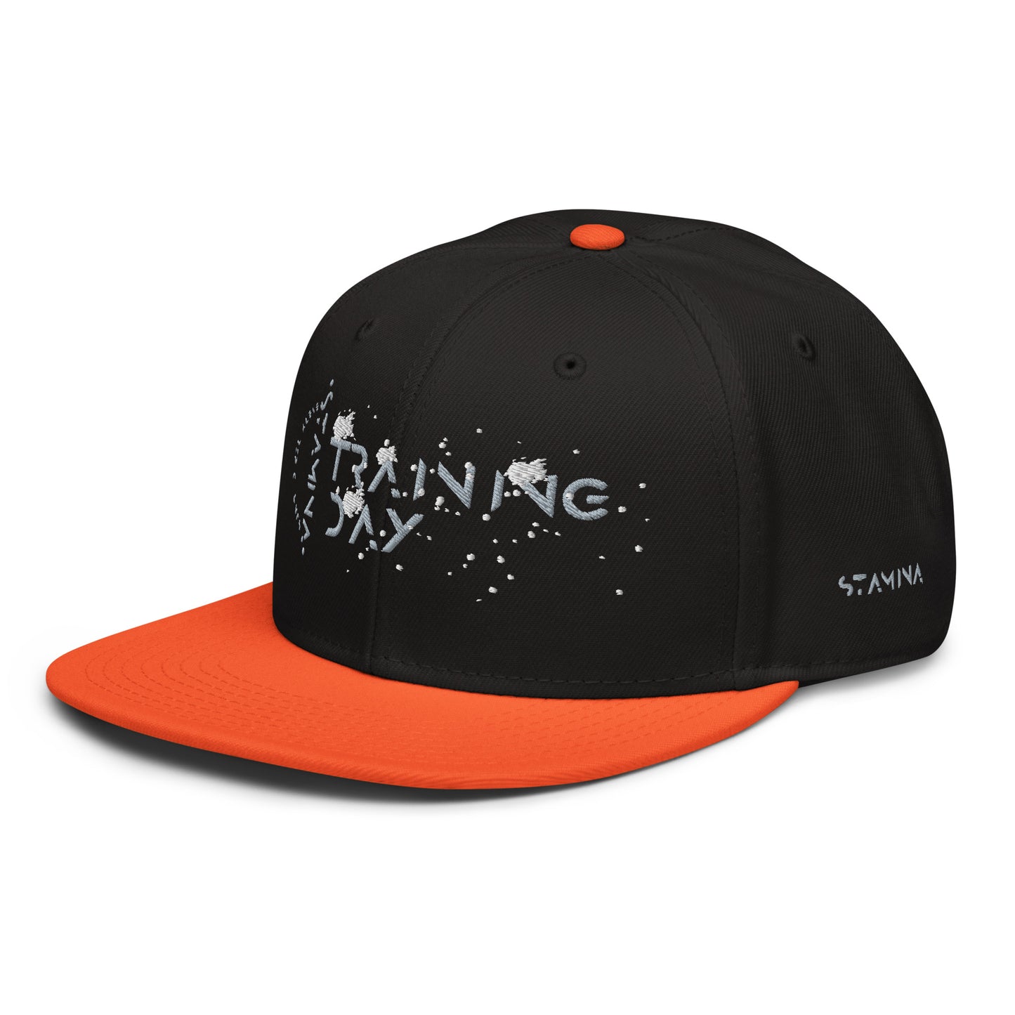 Training Day Snapback Hat