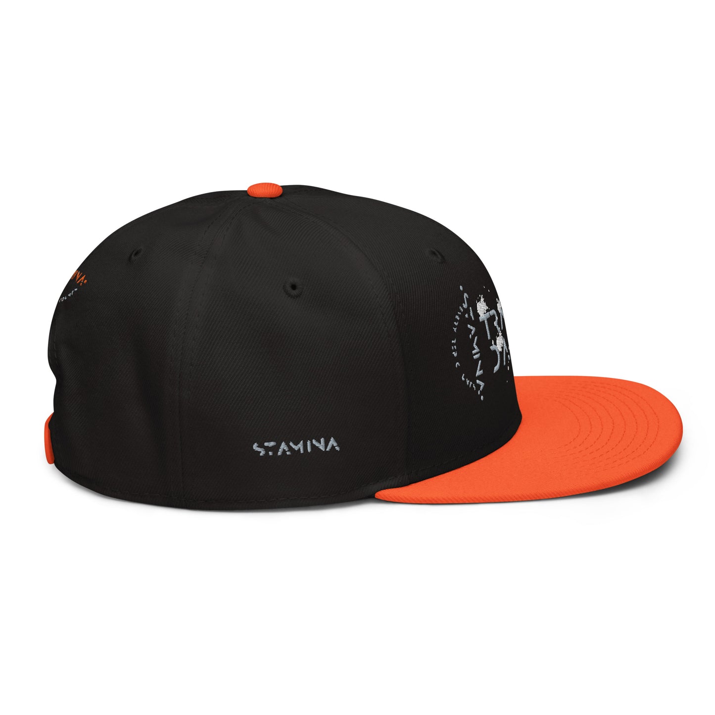Training Day Snapback Hat