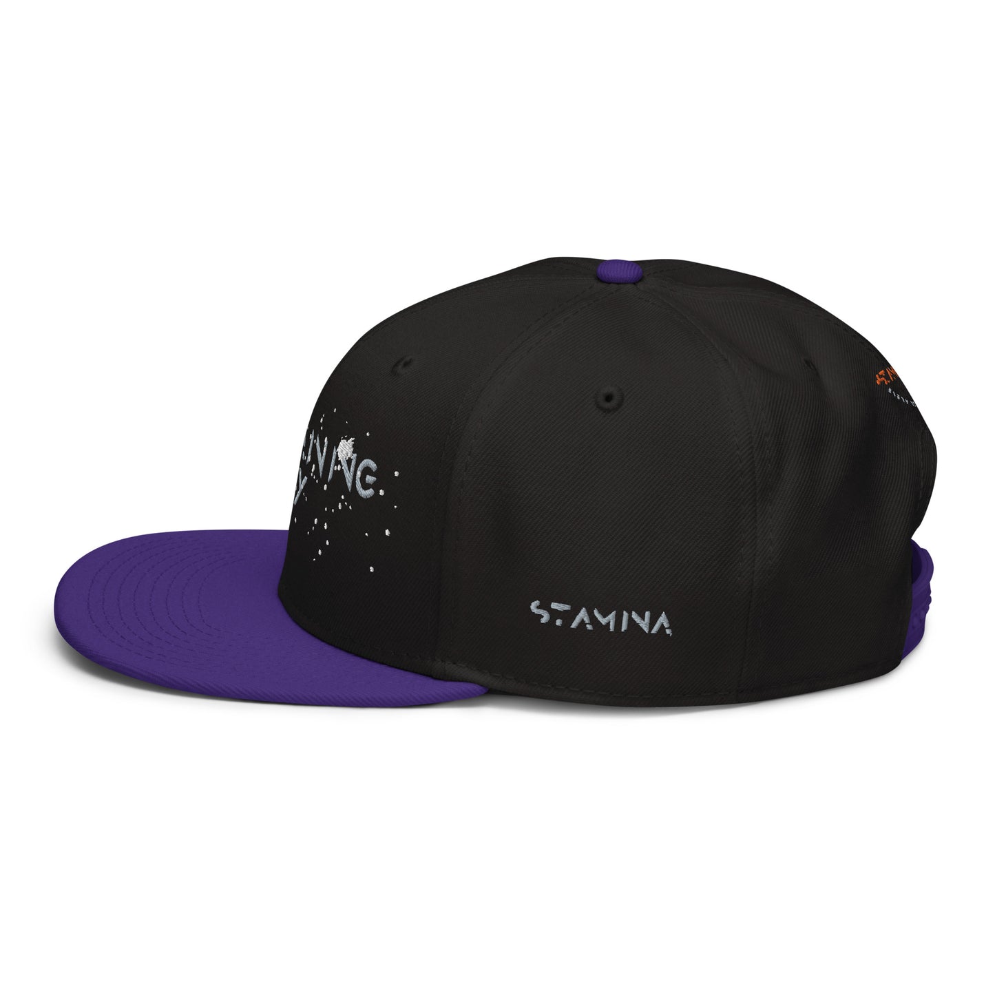 Training Day Snapback Hat