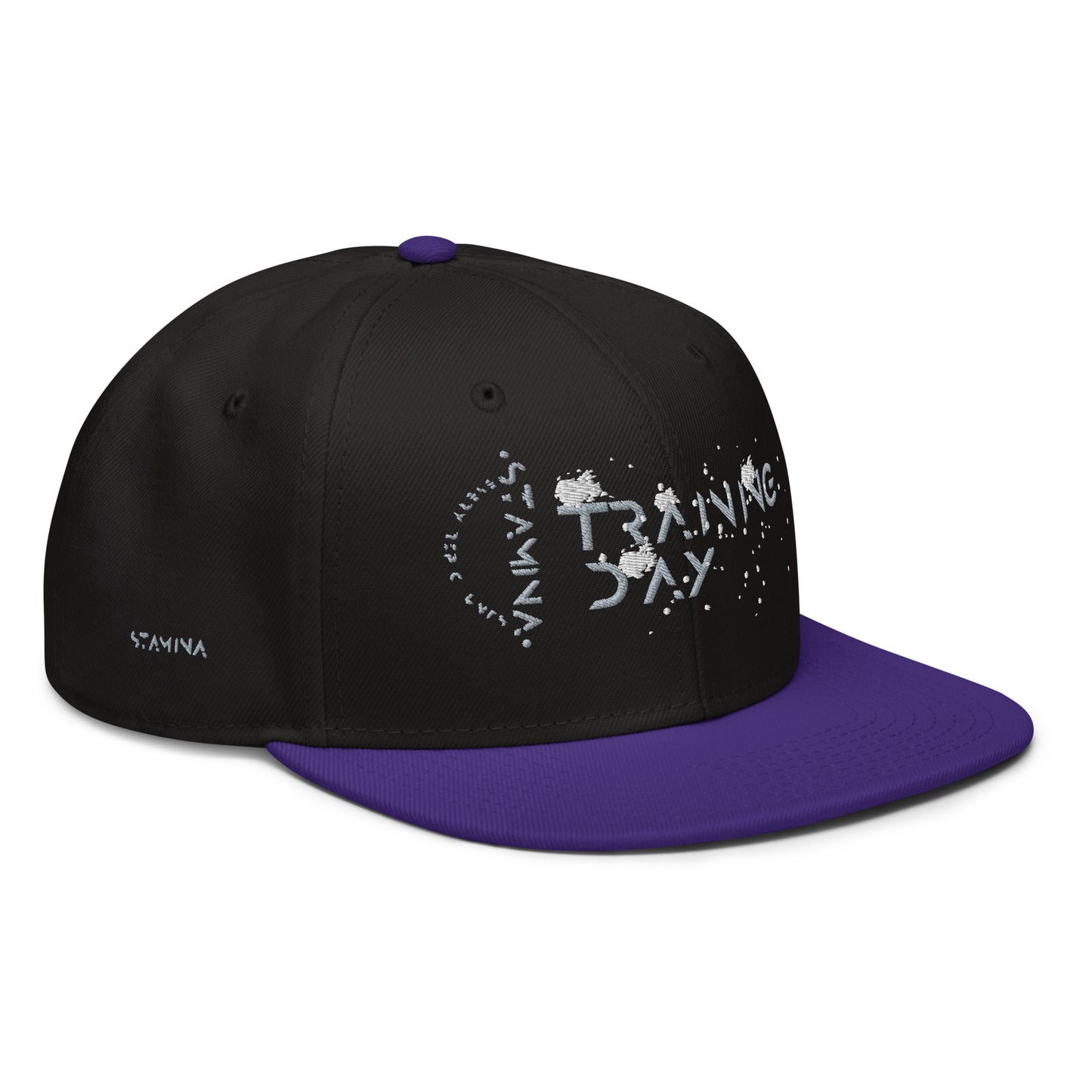 Training Day Snapback Hat