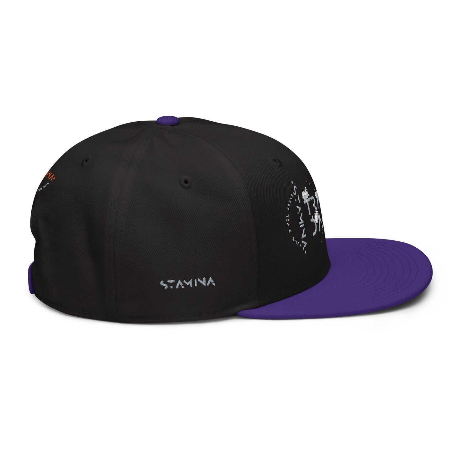 Training Day Snapback Hat