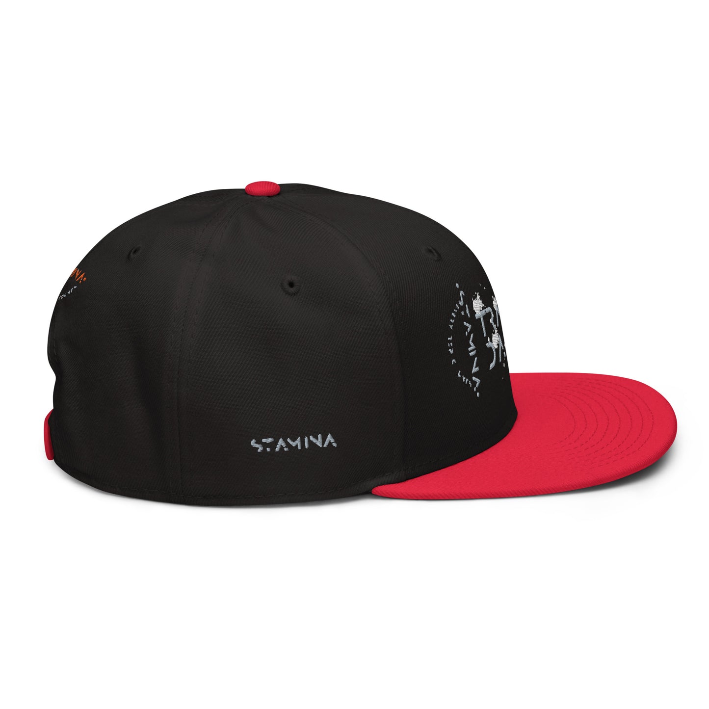 Training Day Snapback Hat