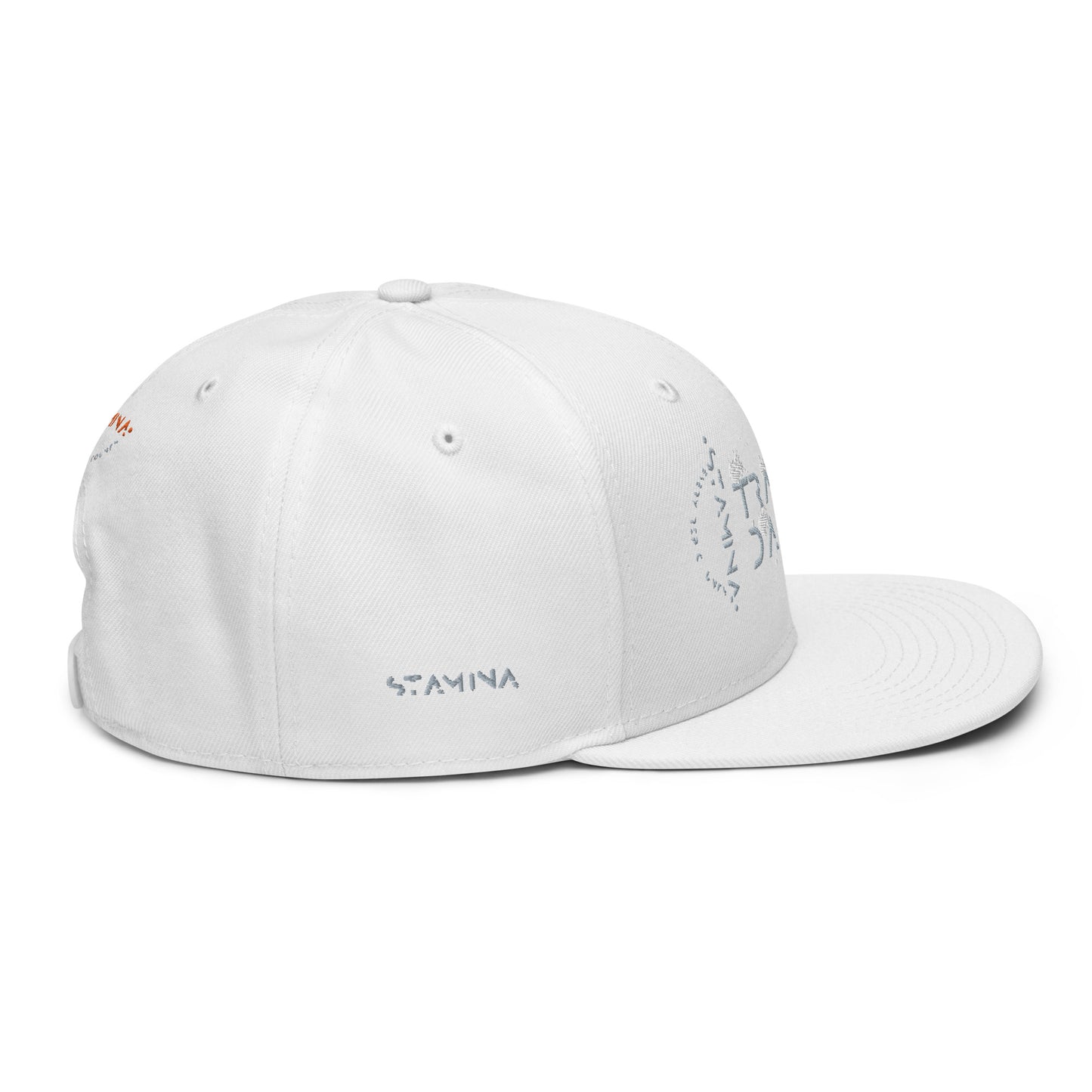 Training Day Snapback Hat
