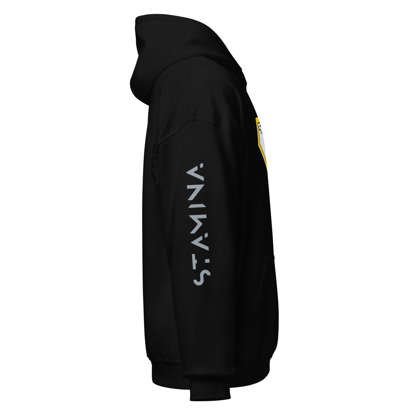 Superman Unisex Hoodie