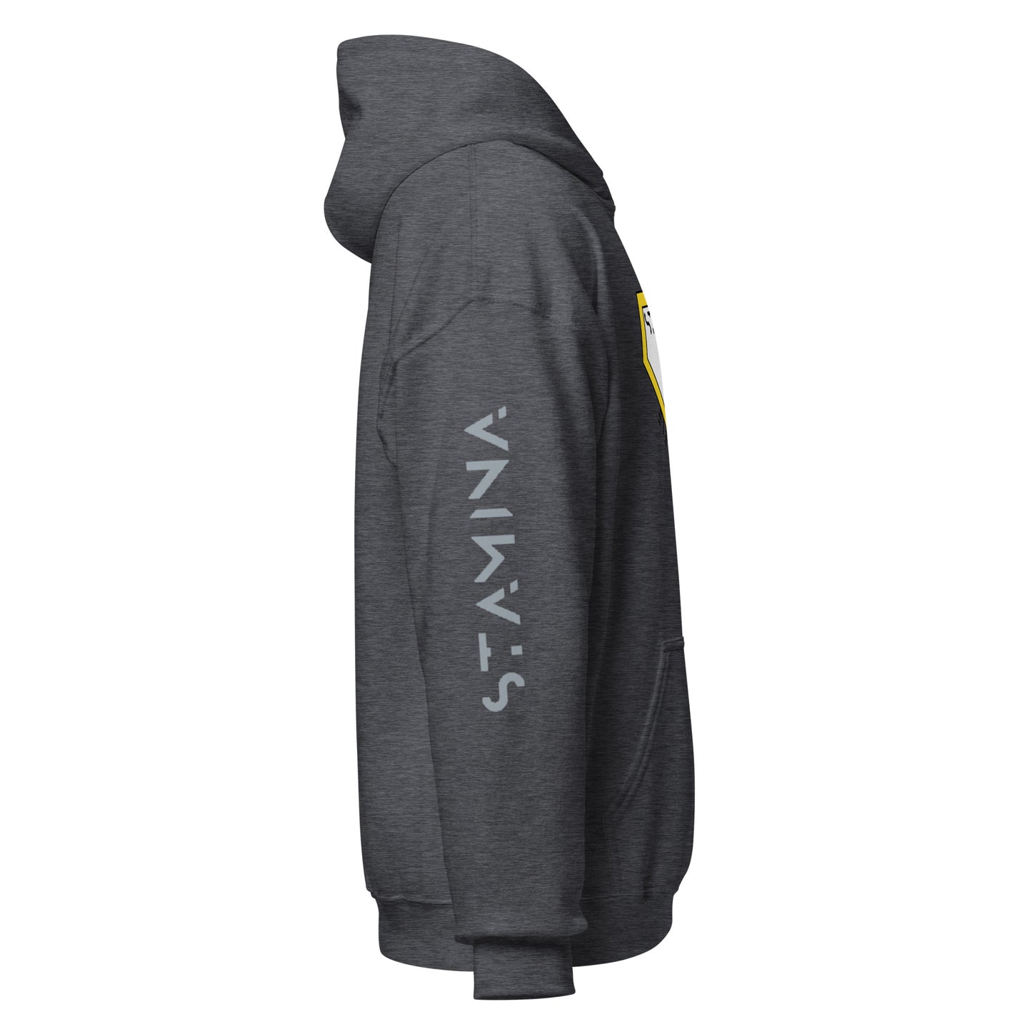 Superman Unisex Hoodie
