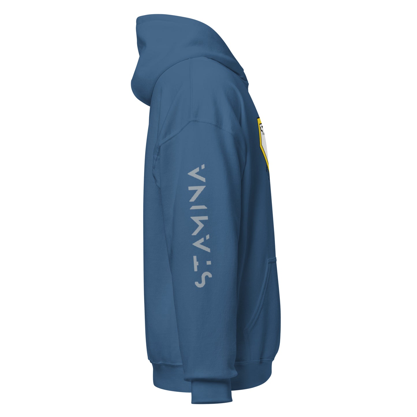 Superman Unisex Hoodie