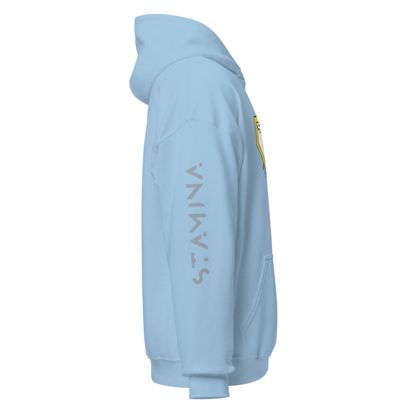 Superman Unisex Hoodie