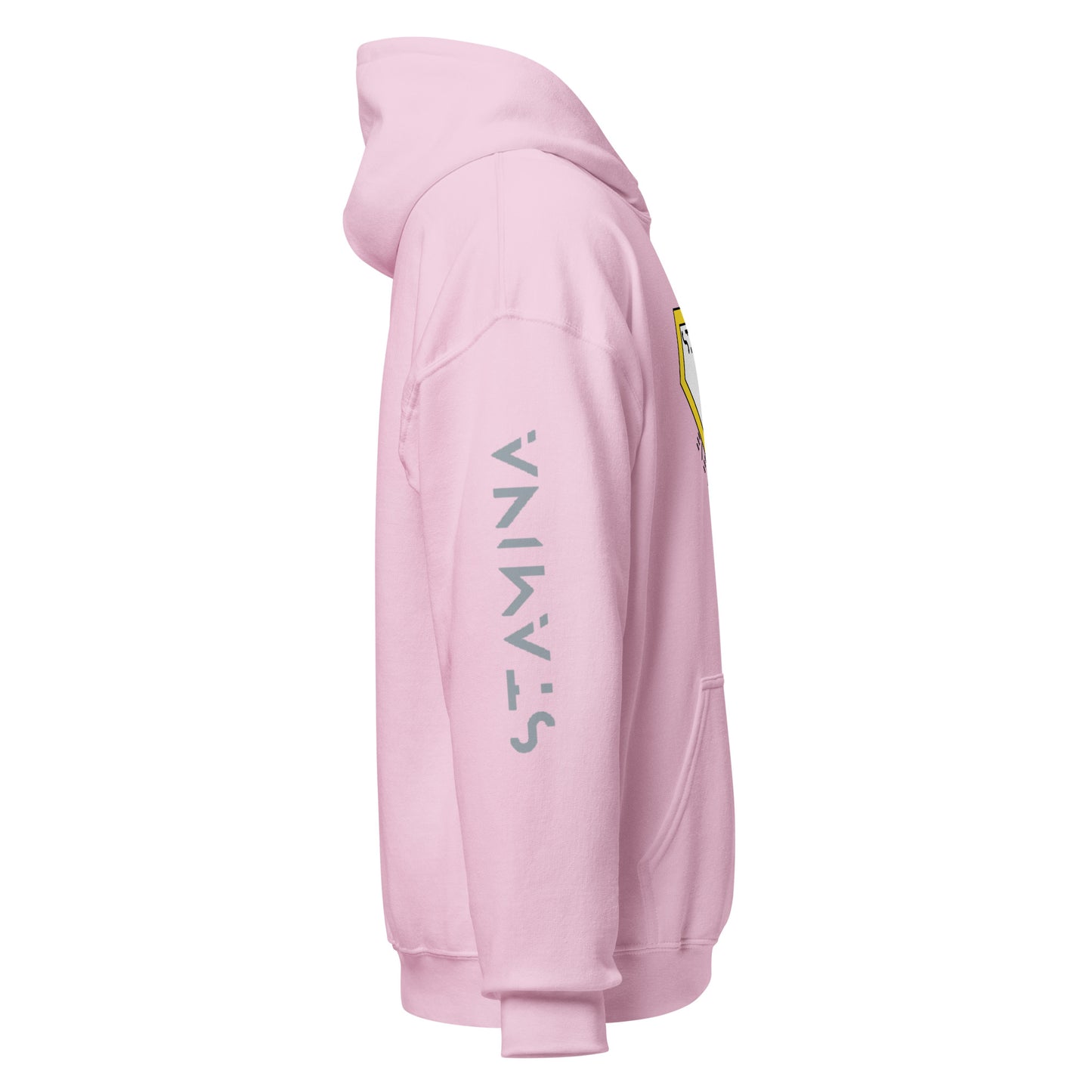 Superman Unisex Hoodie