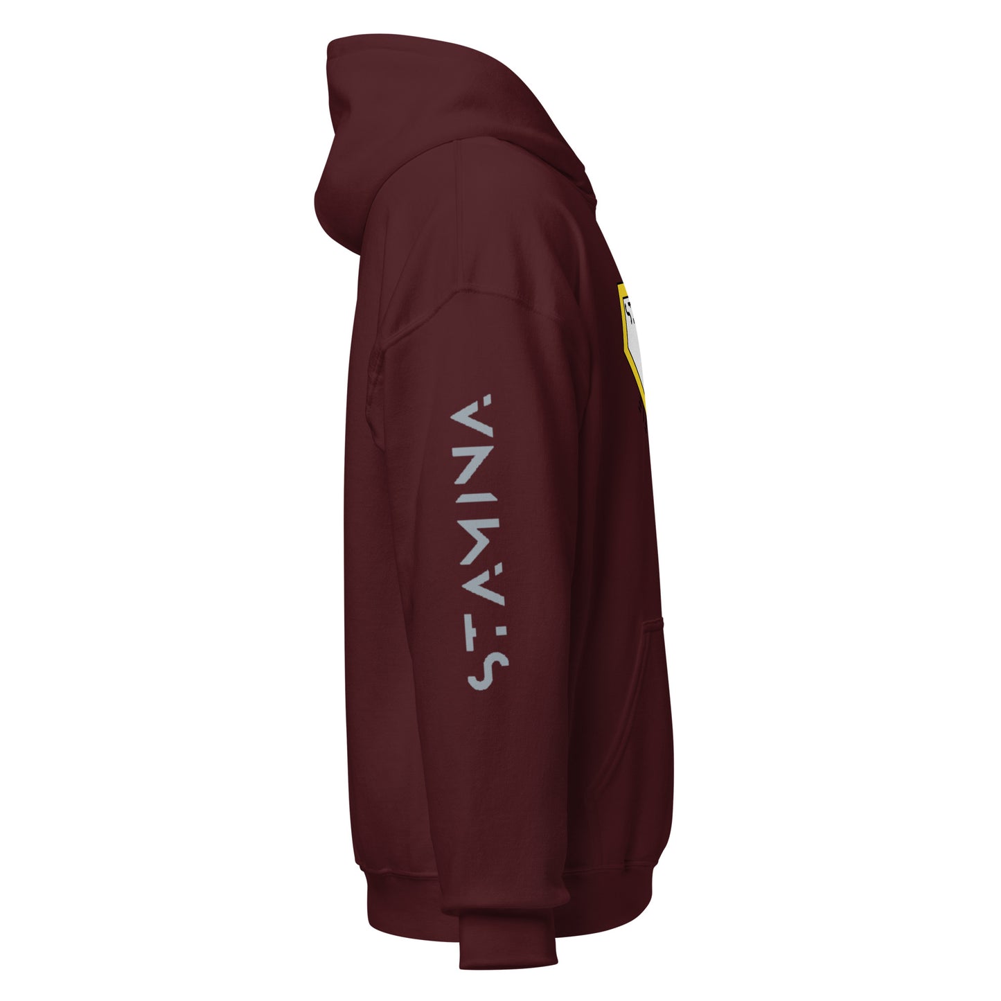 Superman Unisex Hoodie