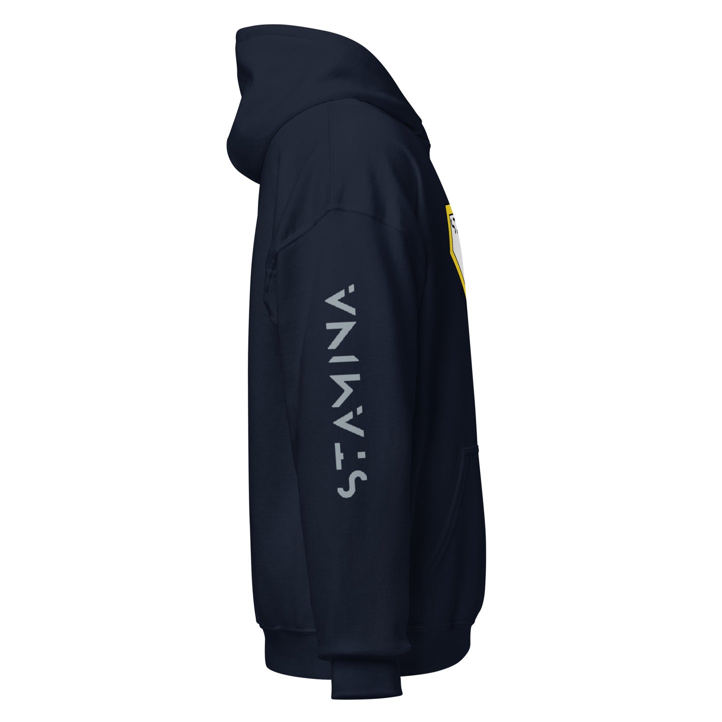 Superman Unisex Hoodie