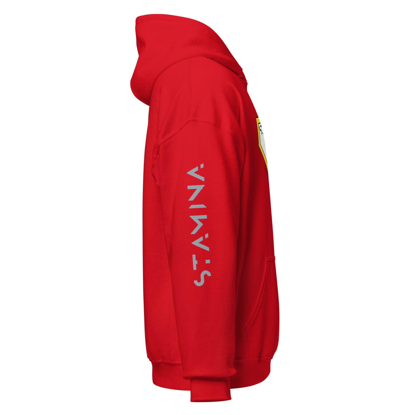 Superman Unisex Hoodie