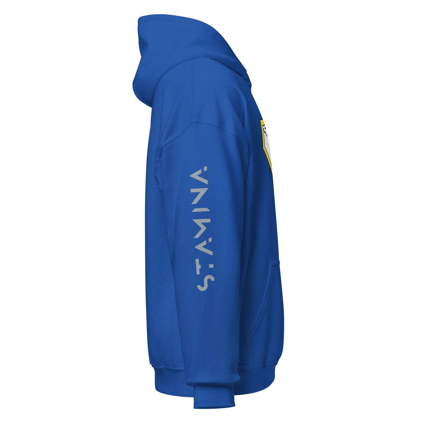 Superman Unisex Hoodie