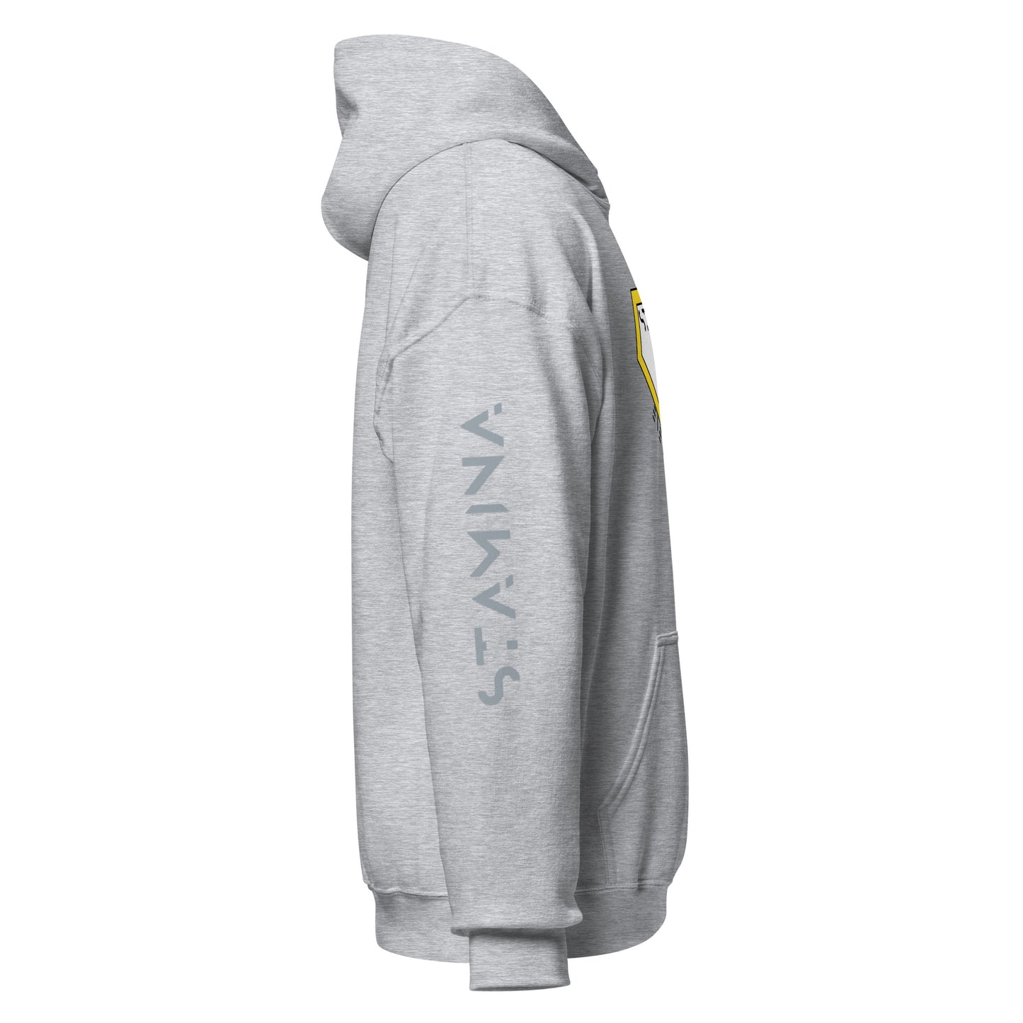 Superman Unisex Hoodie