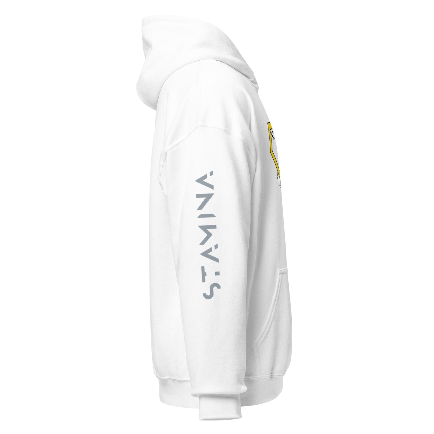Superman Unisex Hoodie