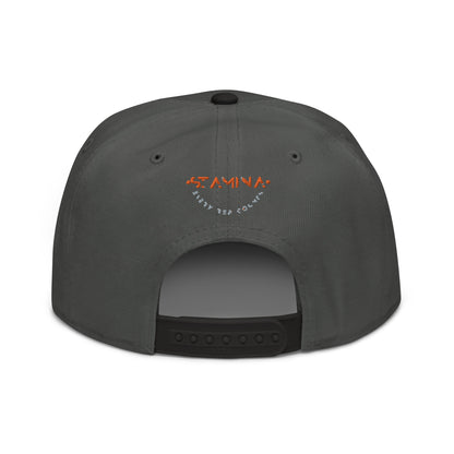 Training Day Snapback Hat