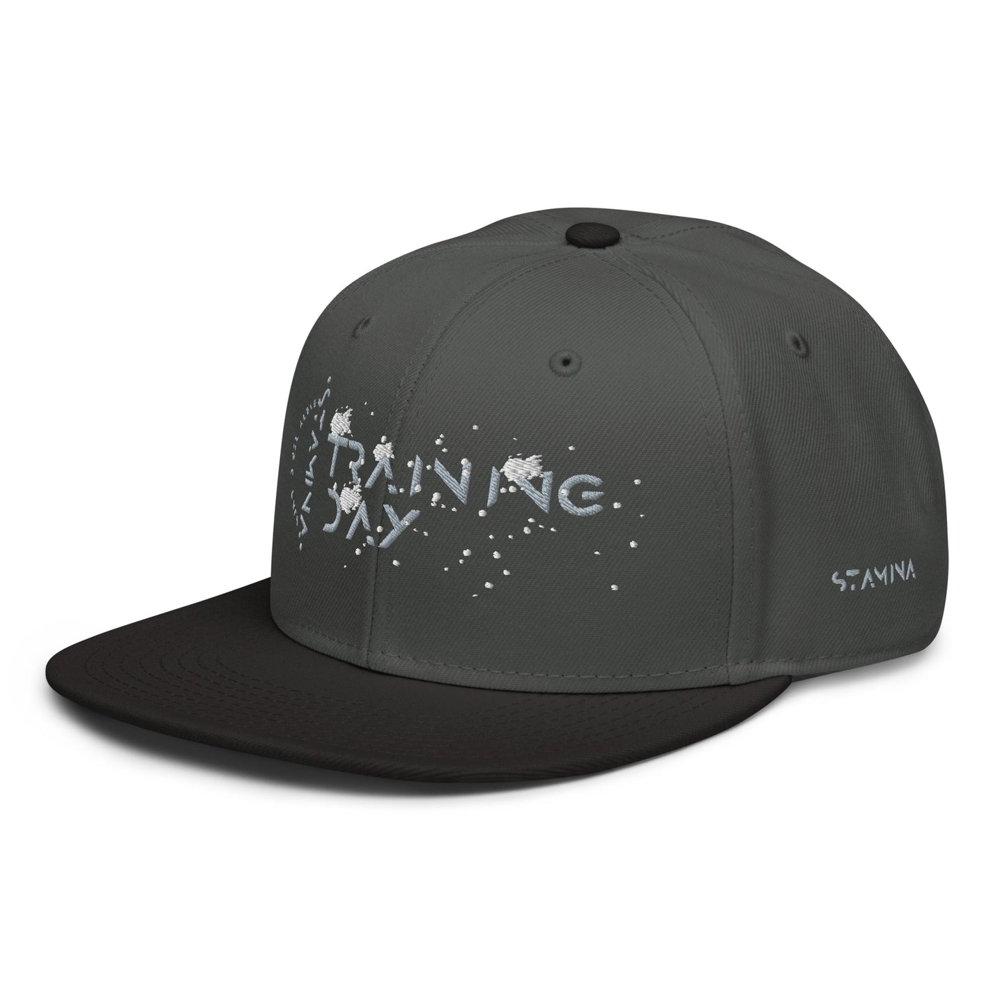 Training Day Snapback Hat