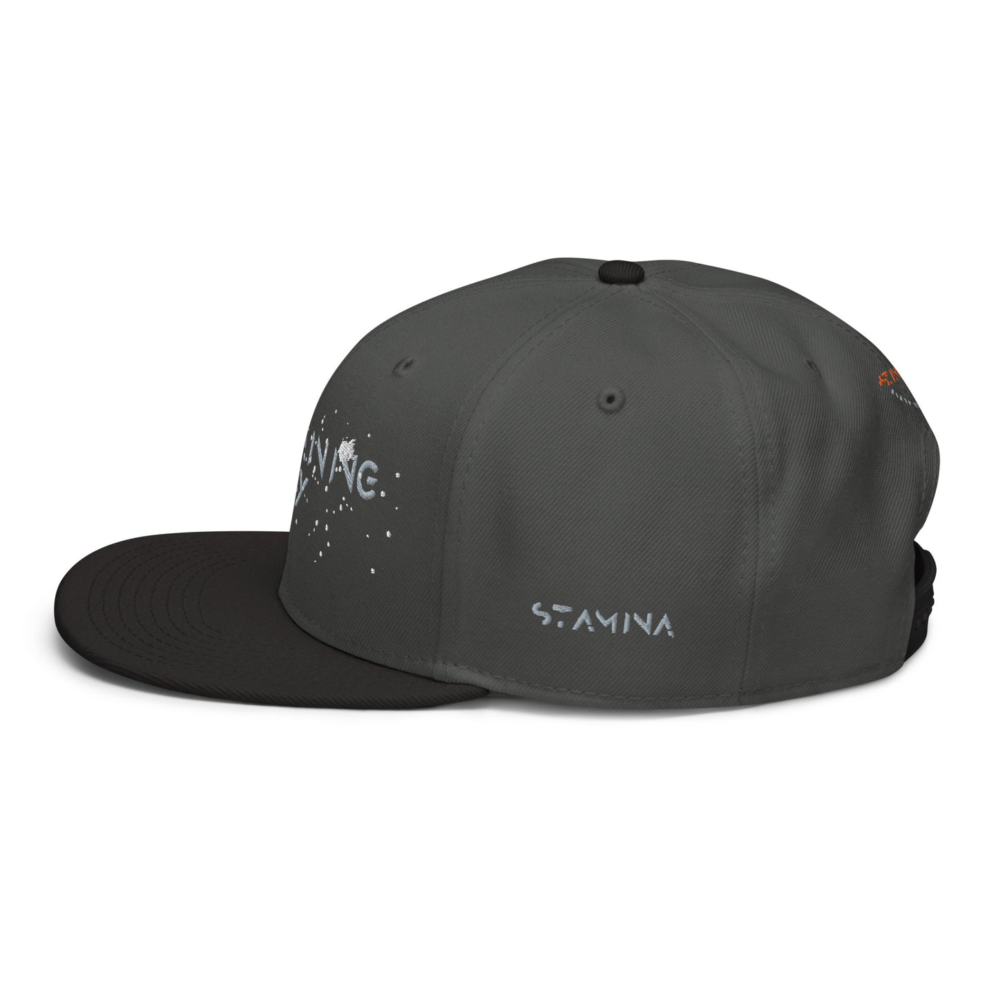 Training Day Snapback Hat
