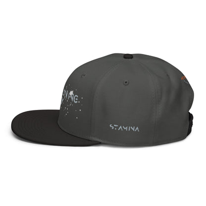 Training Day Snapback Hat
