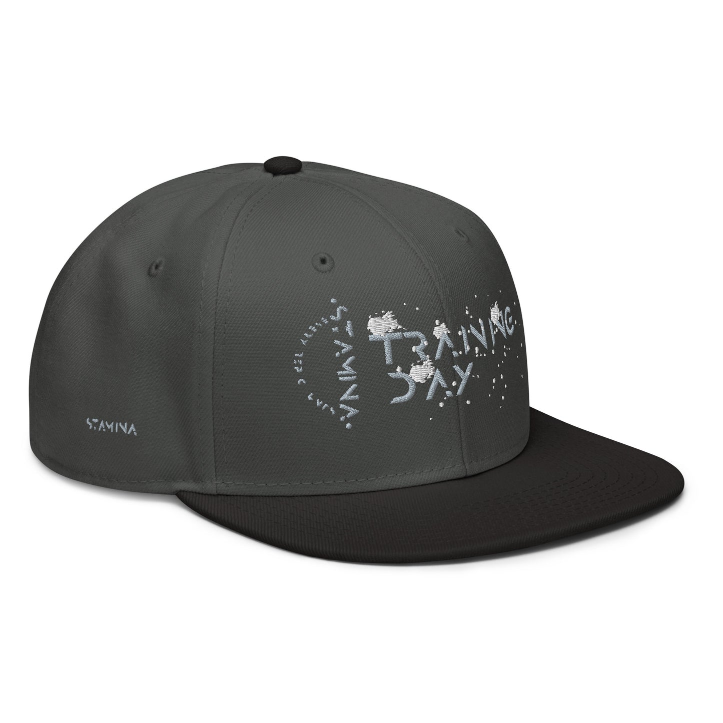 Training Day Snapback Hat