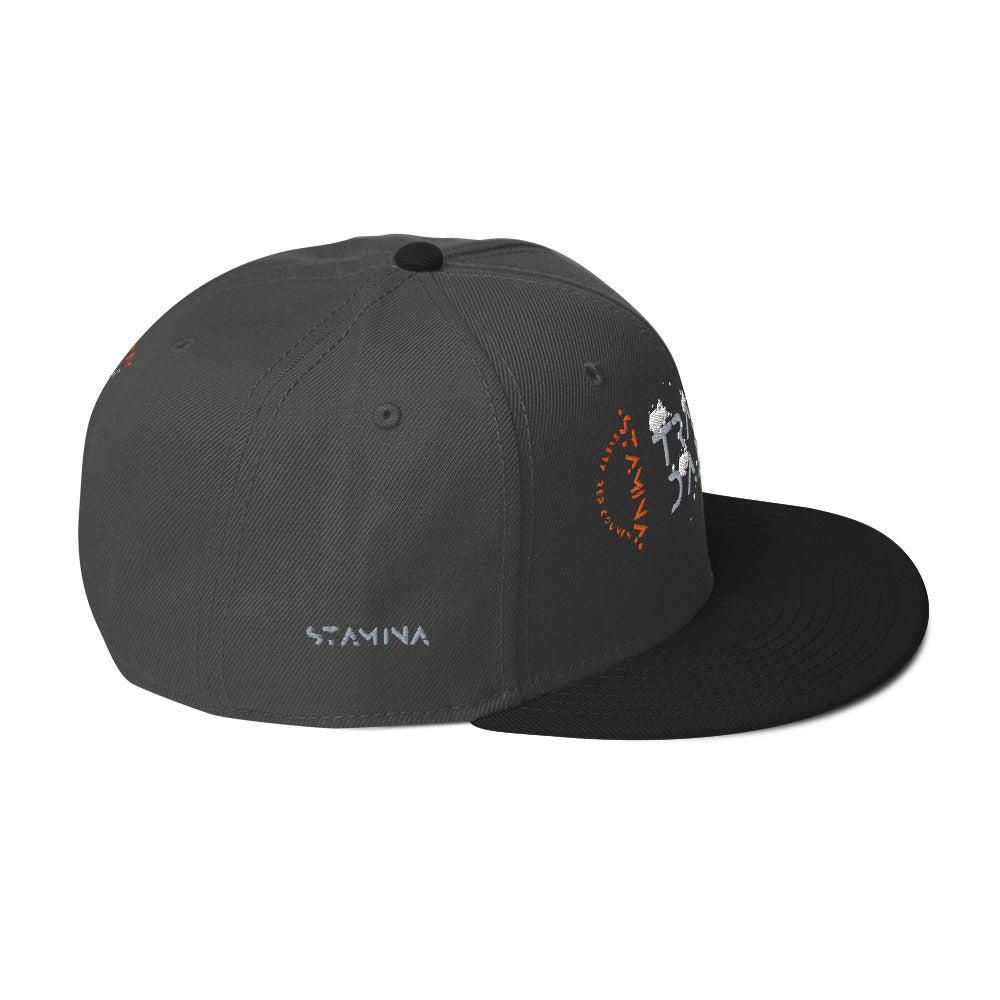Training Day Snapback Hat