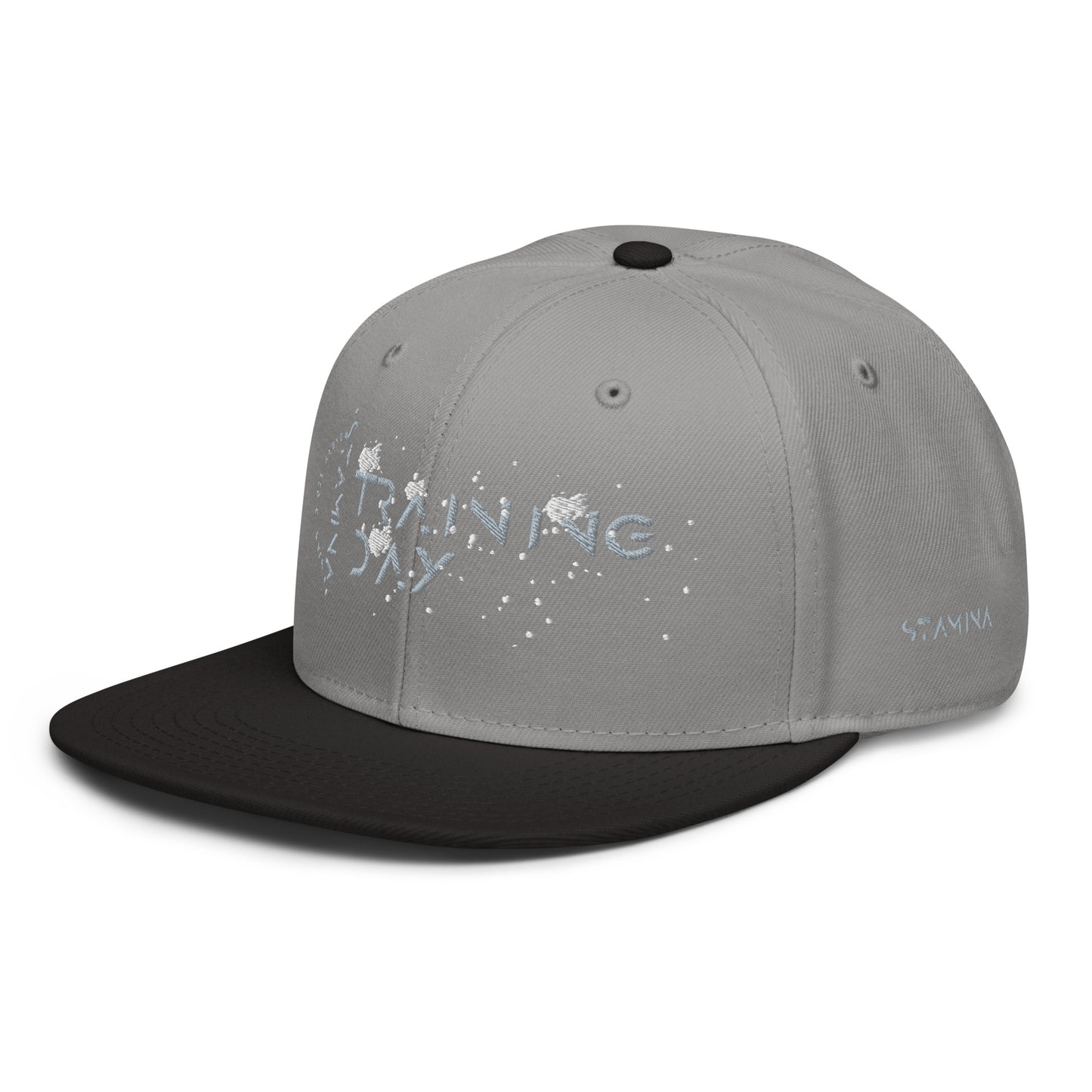 Training Day Snapback Hat