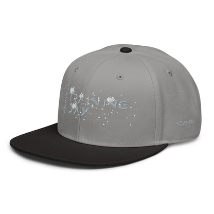 Training Day Snapback Hat