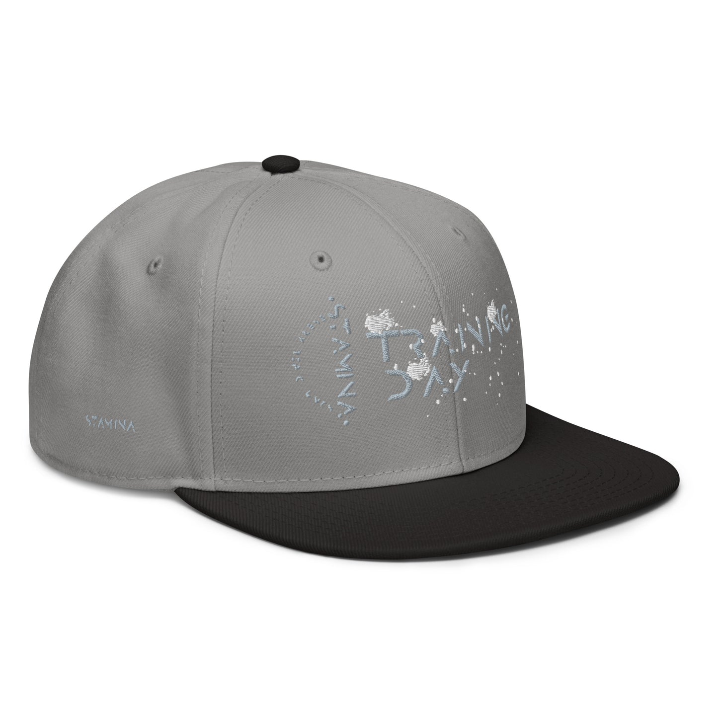 Training Day Snapback Hat