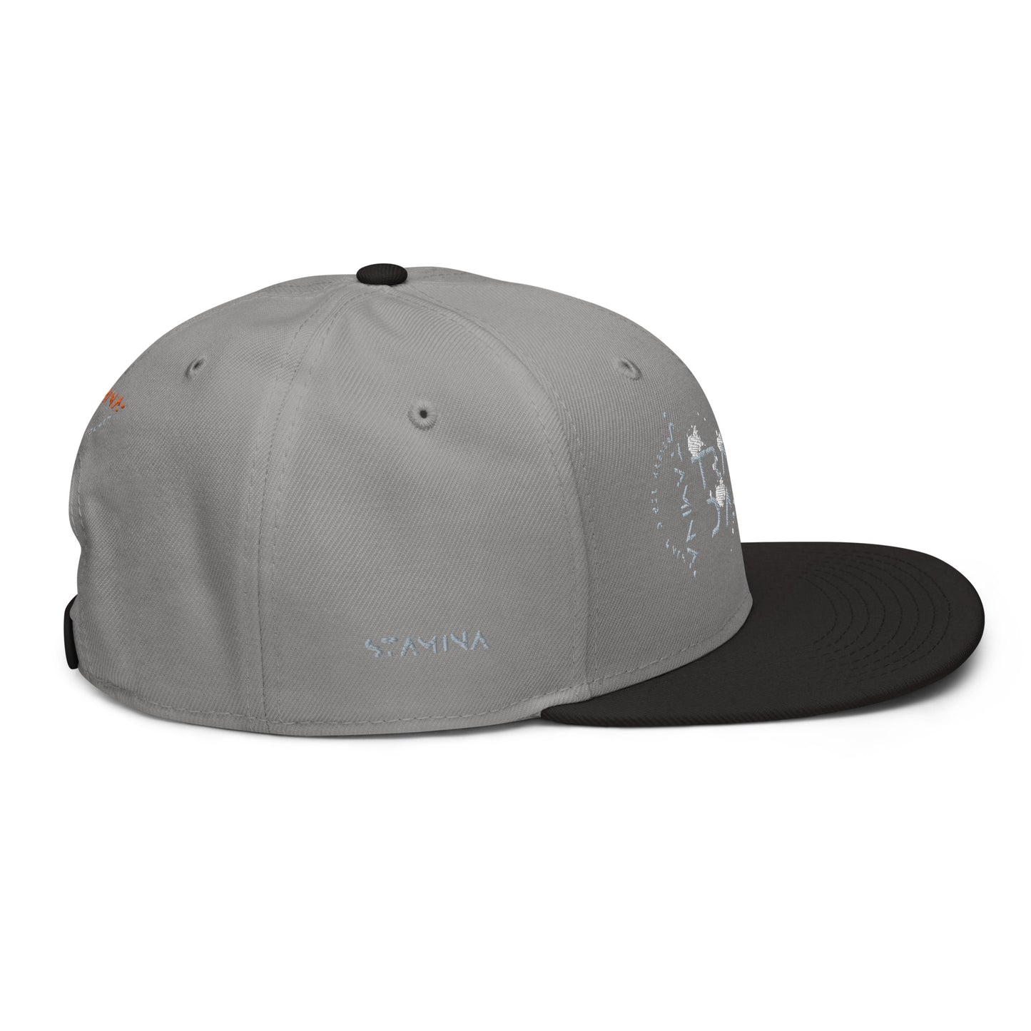 Training Day Snapback Hat