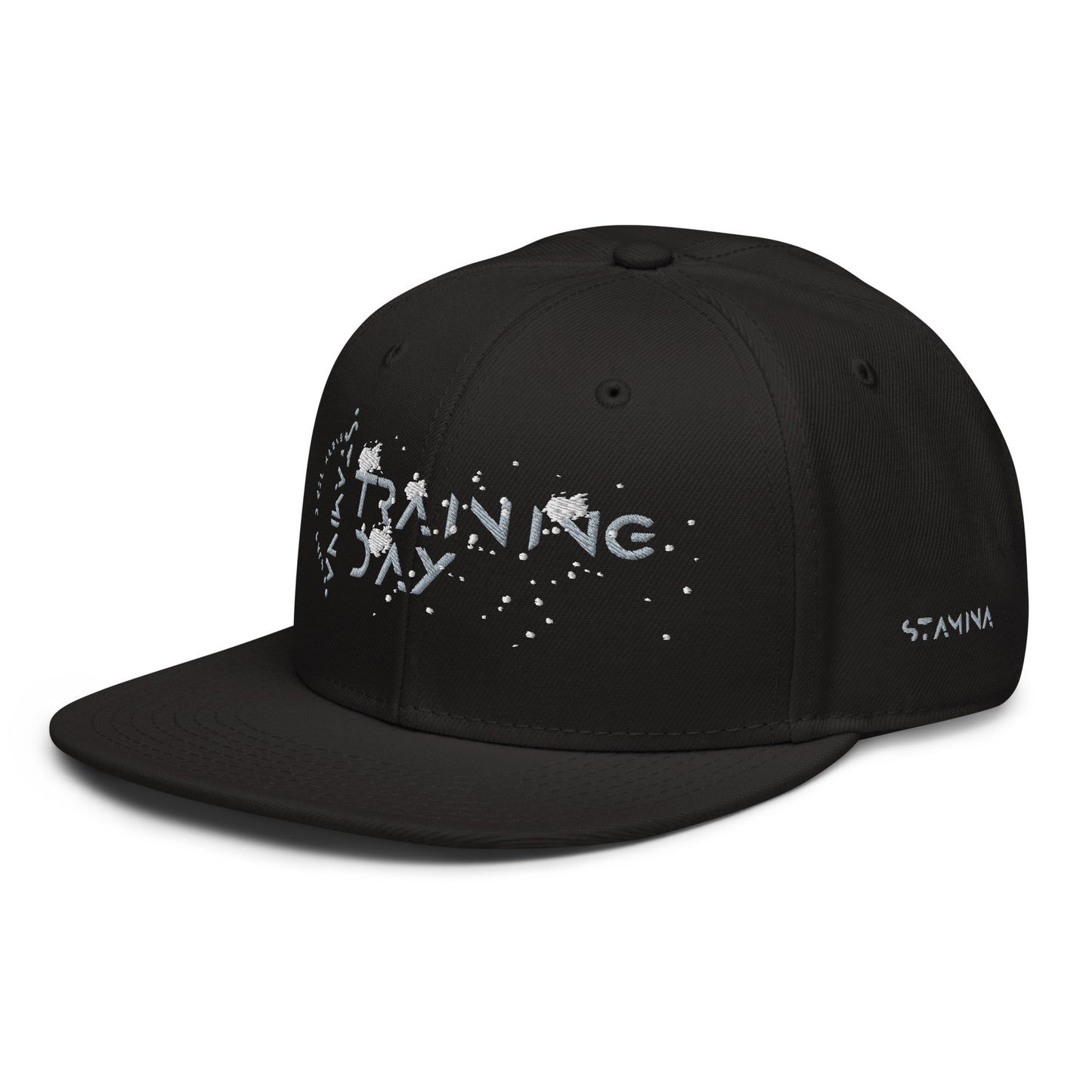 Training Day Snapback Hat