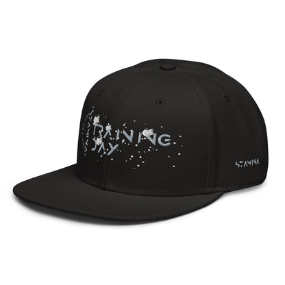 Training Day Snapback Hat