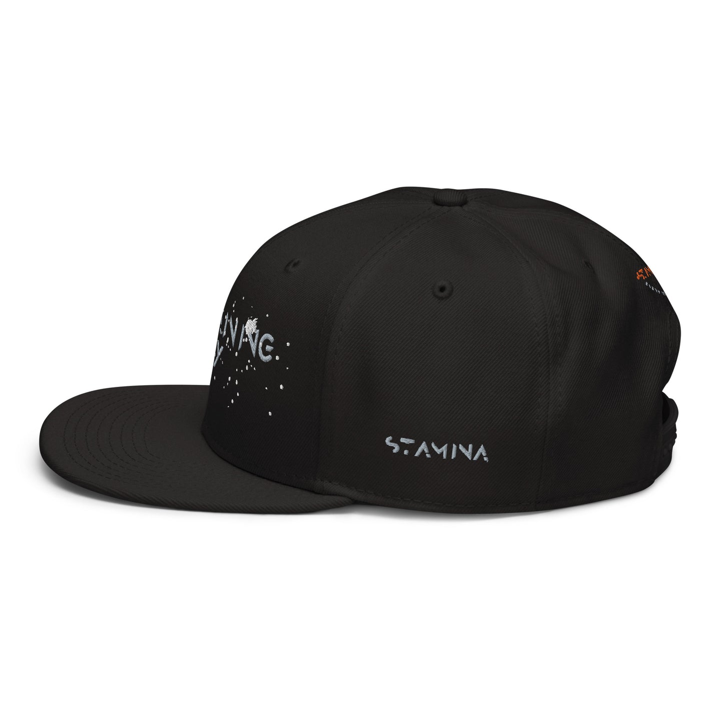 Training Day Snapback Hat